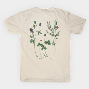 Clover Plants Botanical Illustration T-Shirt